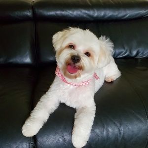 Meet your Posher, Clarissa